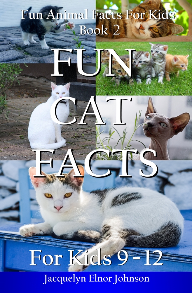 Fun Cat Facts For Kids 9 – 12 – Crimson Hill Books